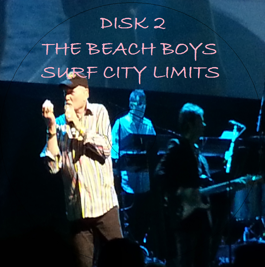 BeachBoys2014-01-19SurfCityLimitsAustinTX (4).jpg